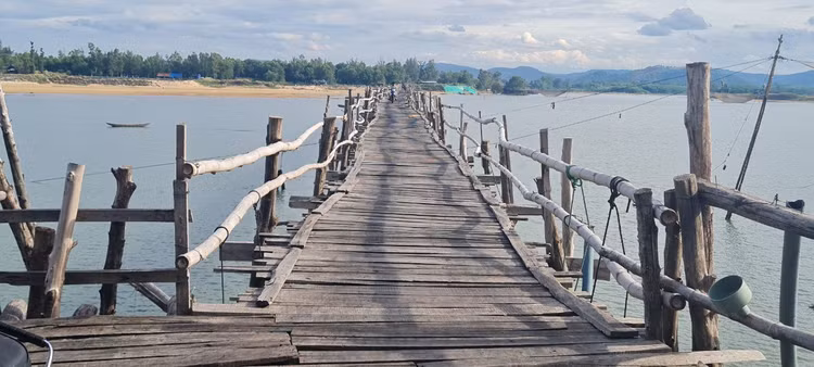 Den xu “hoa vang co xanh”, ngam cay cau go dai nhat Viet Nam-Hinh-4