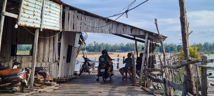 Den xu “hoa vang co xanh”, ngam cay cau go dai nhat Viet Nam-Hinh-7