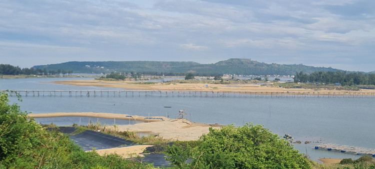 Den xu “hoa vang co xanh”, ngam cay cau go dai nhat Viet Nam