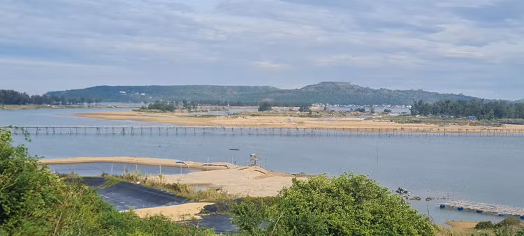 Den xu “hoa vang co xanh”, ngam cay cau go dai nhat Viet Nam