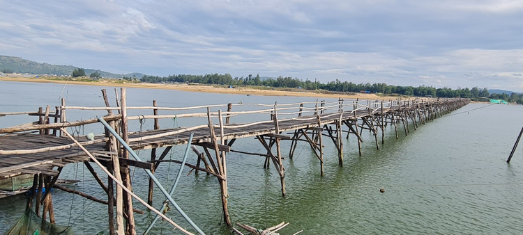 Den xu “hoa vang co xanh”, ngam cay cau go dai nhat Viet Nam-Hinh-8