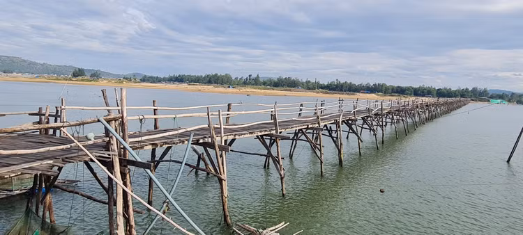 Den xu “hoa vang co xanh”, ngam cay cau go dai nhat Viet Nam-Hinh-8