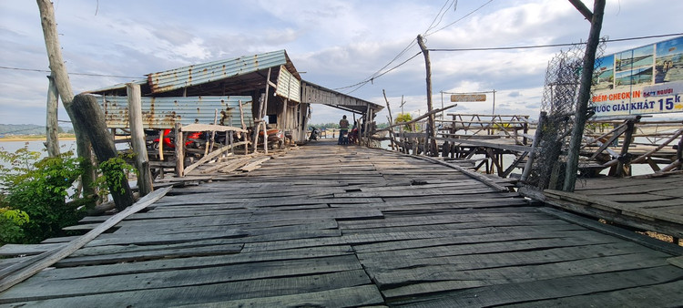 Den xu “hoa vang co xanh”, ngam cay cau go dai nhat Viet Nam-Hinh-6