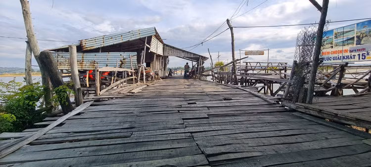 Den xu “hoa vang co xanh”, ngam cay cau go dai nhat Viet Nam-Hinh-6