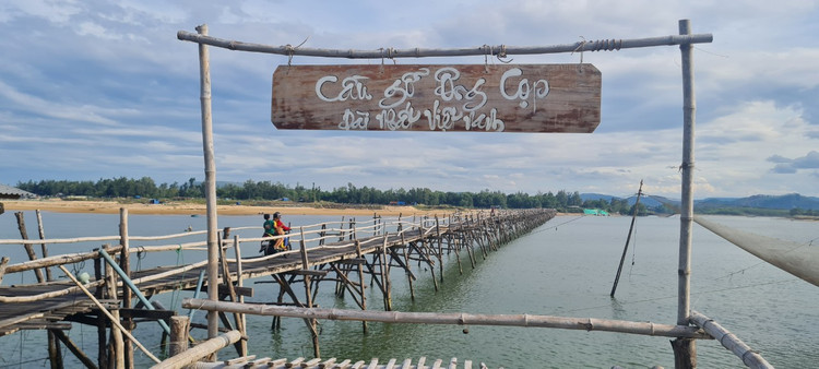 Den xu “hoa vang co xanh”, ngam cay cau go dai nhat Viet Nam-Hinh-3