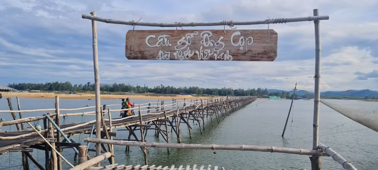 Den xu “hoa vang co xanh”, ngam cay cau go dai nhat Viet Nam-Hinh-3