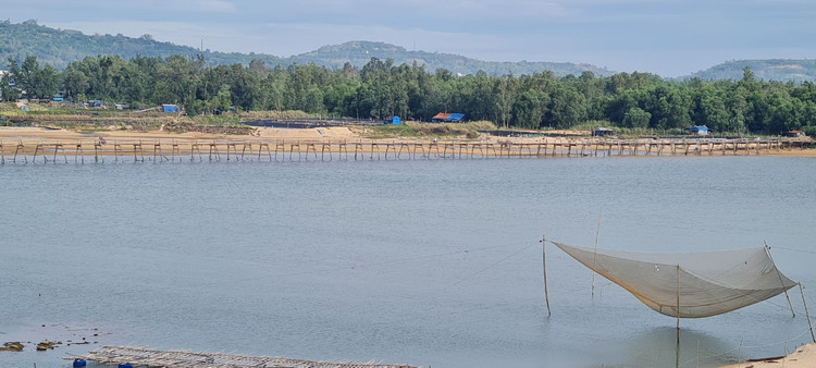 Den xu “hoa vang co xanh”, ngam cay cau go dai nhat Viet Nam-Hinh-2