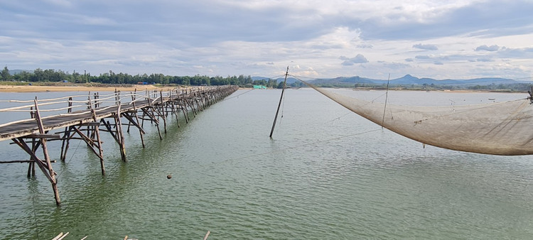 Den xu “hoa vang co xanh”, ngam cay cau go dai nhat Viet Nam-Hinh-11