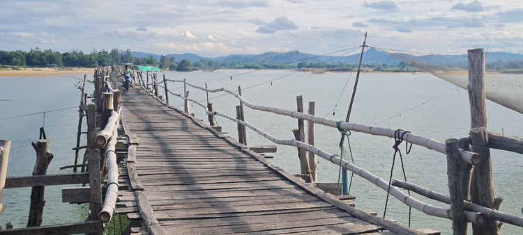 Den xu “hoa vang co xanh”, ngam cay cau go dai nhat Viet Nam-Hinh-9