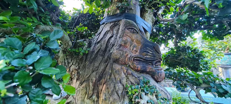 Can canh loat bonsai “phong thuy” duoc nhieu dai gia san lung-Hinh-9