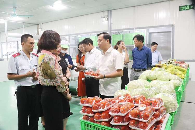 Ha Noi xu phat hon 3.000 co so vi pham ATTP