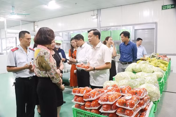 Ha Noi xu phat hon 3.000 co so vi pham ATTP