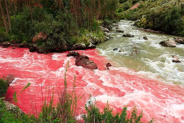 Dong song do ruc o Peru, chi doi mau vao mua mua-Hinh-6