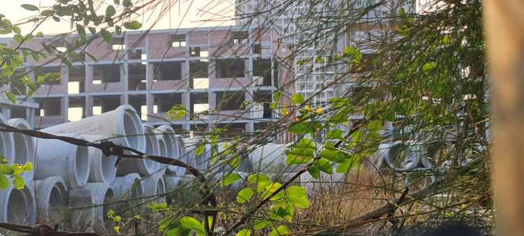 Giat minh canh hoang tan tai Cocobay Da Nang-Hinh-10