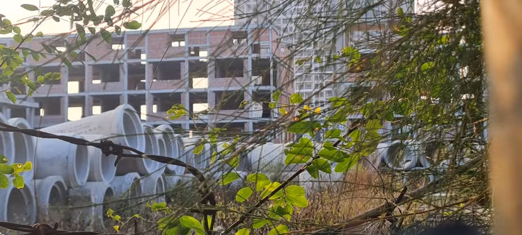 Giat minh canh hoang tan tai Cocobay Da Nang-Hinh-10