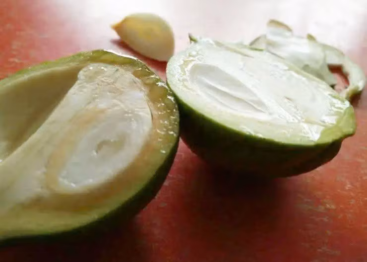 Cay vua chua doc, vua chua “vang” mang lai kinh te kha cao-Hinh-3