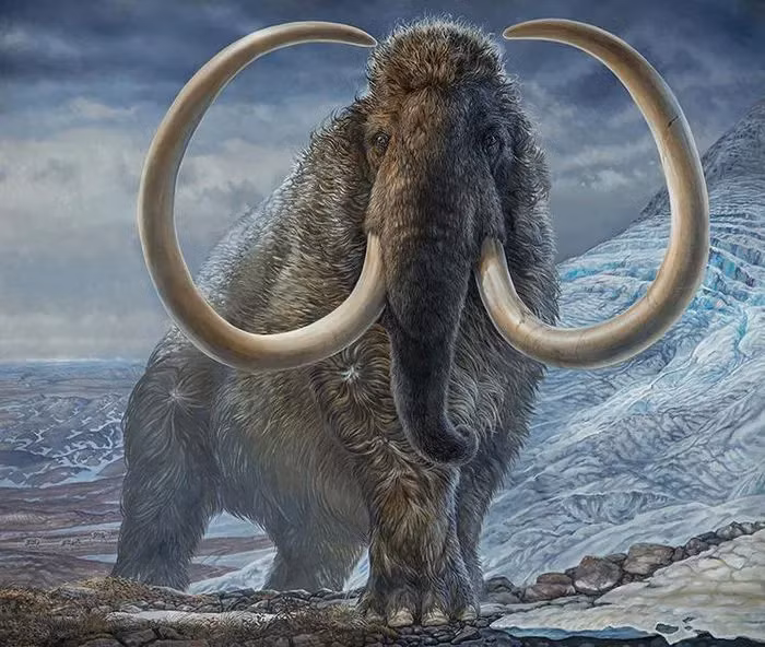 Mo ham ruou cu, kinh ngac thay 3 'quai thu' khong lo 'hien hinh'-Hinh-3