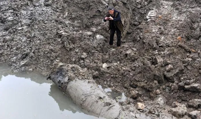 Dao duoc cay go den si, chuyen gia lap tuc phong toa-Hinh-2