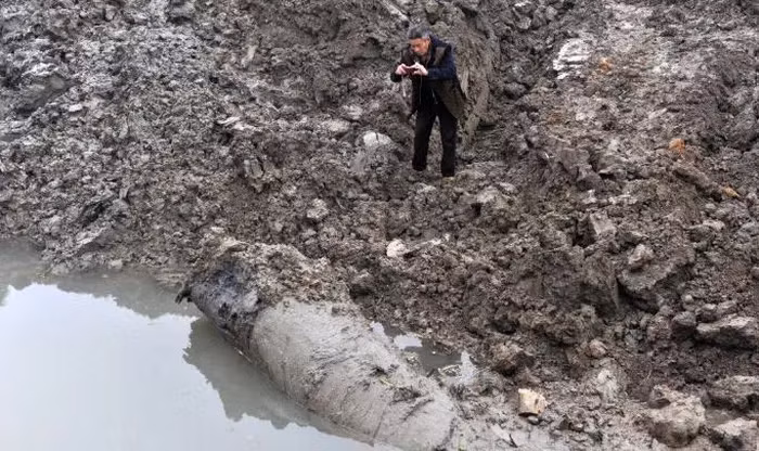 Dao duoc cay go den si, chuyen gia lap tuc phong toa-Hinh-2