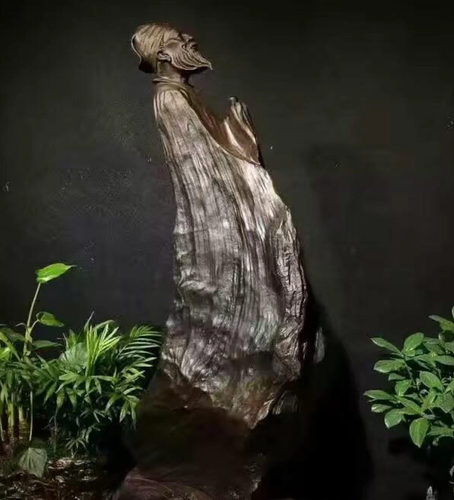 Dao duoc cay go den si, chuyen gia lap tuc phong toa-Hinh-7