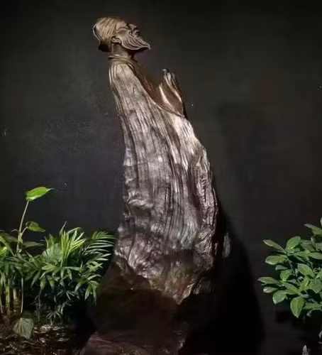 Dao duoc cay go den si, chuyen gia lap tuc phong toa-Hinh-7