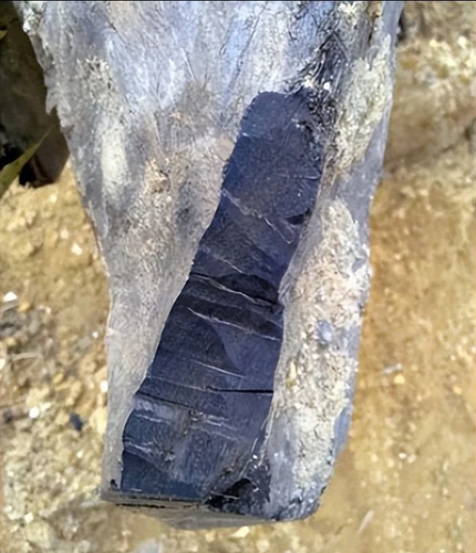 Dao duoc cay go den si, chuyen gia lap tuc phong toa-Hinh-6