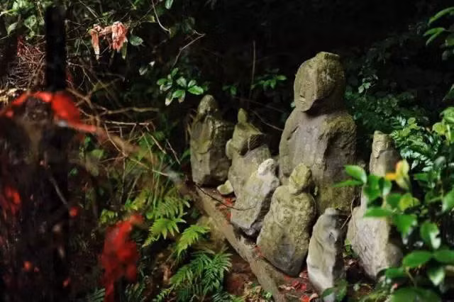 Bi mat dong troi trong 