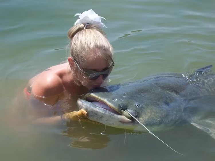 Cau ca tren song, lanh gay dung trung 'quai ngu' tung an thit nguoi-Hinh-10