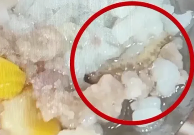 Vu SV DHBK Ha Noi an com canh thua, trach nhiem cua ai?-Hinh-2