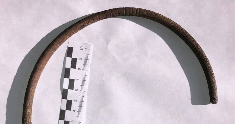 Sua ong nuoc, nguoi nong dan suong ngat dung trung “bau vat” Troi ban-Hinh-4