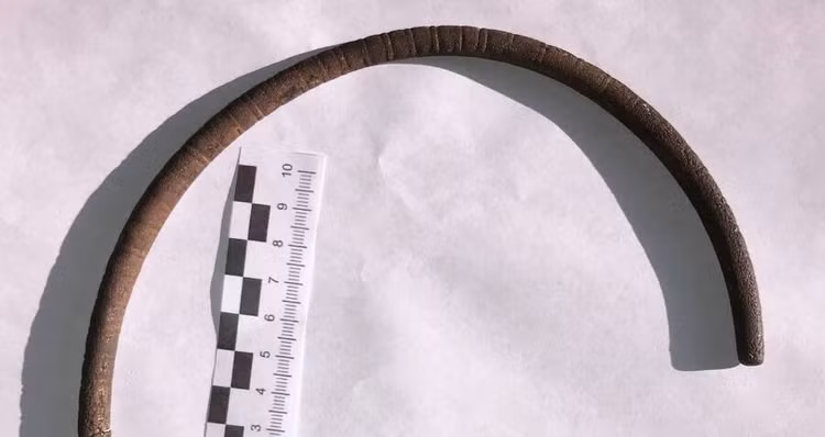 Sua ong nuoc, nguoi nong dan suong ngat dung trung “bau vat” Troi ban-Hinh-4