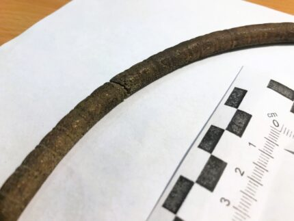 Sua ong nuoc, nguoi nong dan suong ngat dung trung “bau vat” Troi ban-Hinh-3