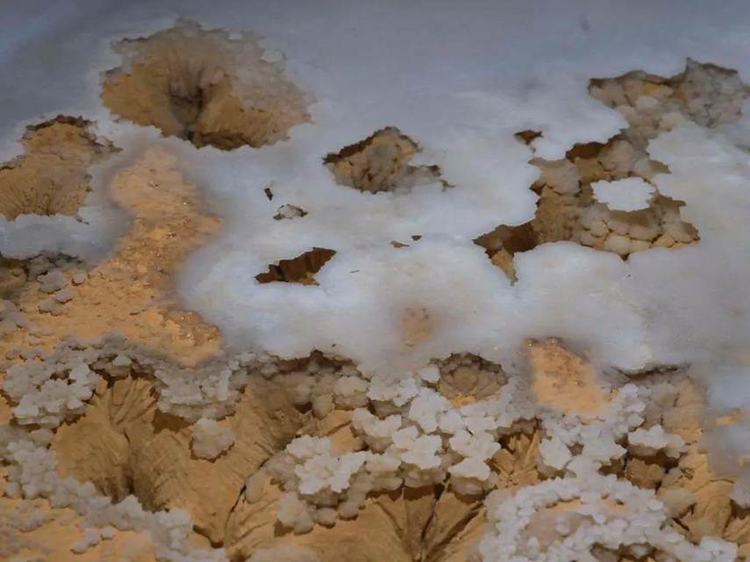 Dang dao muong, suong run nguoi dung trung “kho bau” 480 trieu tuoi-Hinh-3