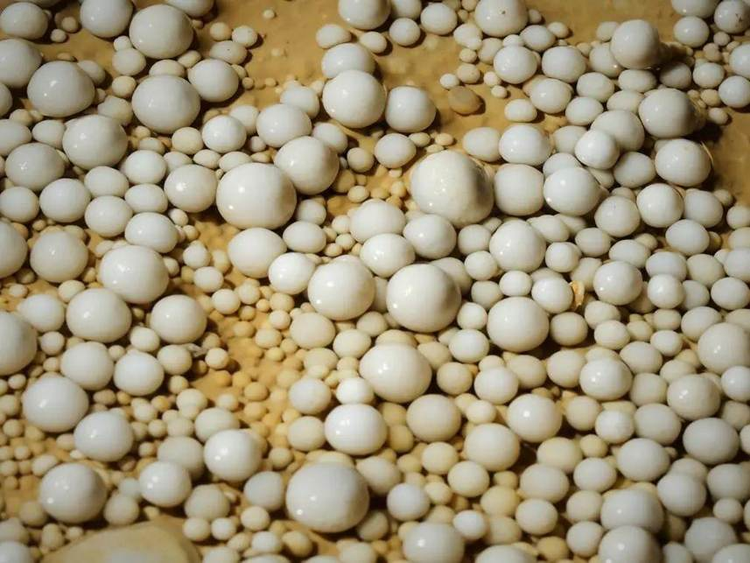 Dang dao muong, suong run nguoi dung trung “kho bau” 480 trieu tuoi-Hinh-5