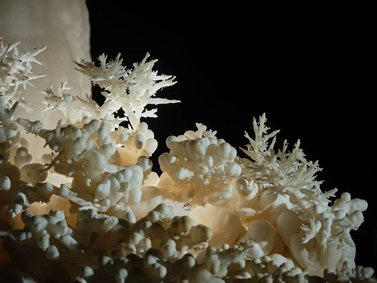 Dang dao muong, suong run nguoi dung trung “kho bau” 480 trieu tuoi-Hinh-8