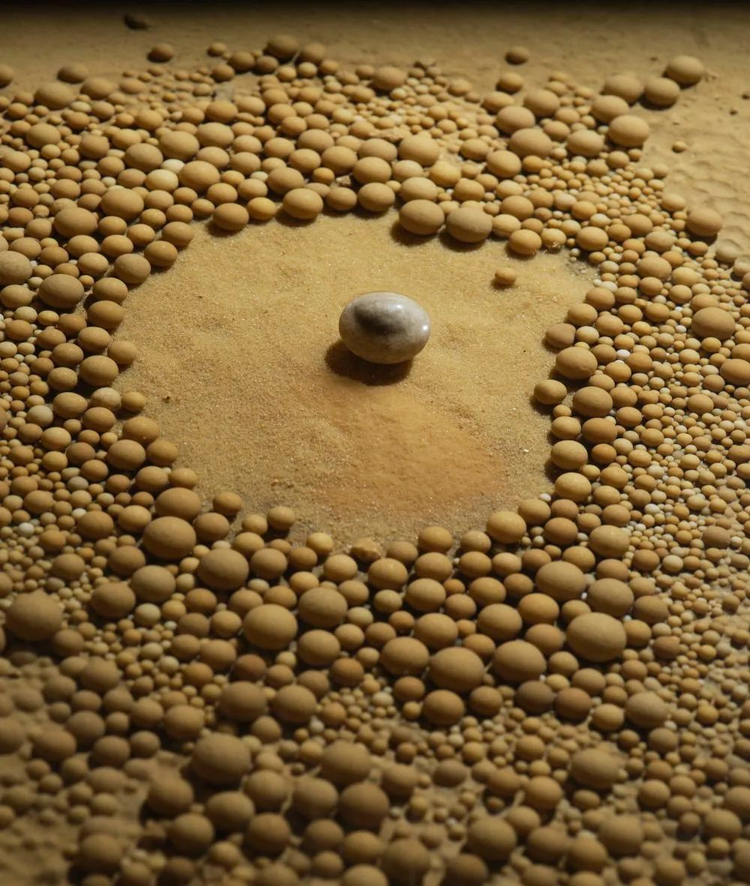 Dang dao muong, suong run nguoi dung trung “kho bau” 480 trieu tuoi-Hinh-9