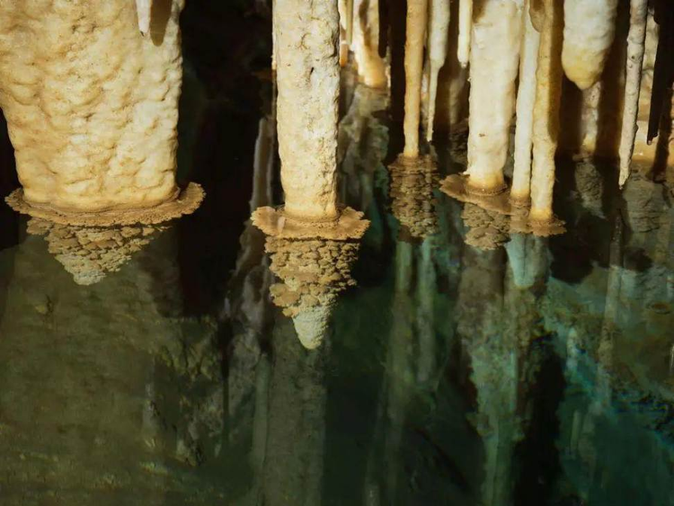 Dang dao muong, suong run nguoi dung trung “kho bau” 480 trieu tuoi-Hinh-7