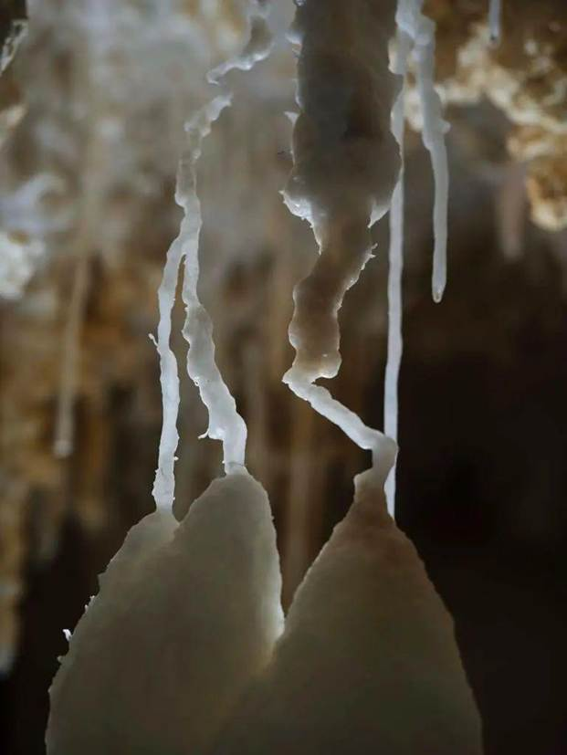 Dang dao muong, suong run nguoi dung trung “kho bau” 480 trieu tuoi-Hinh-4