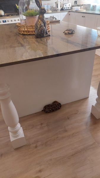 Tuong khan quang bi roi, khiep via nhan ra la 