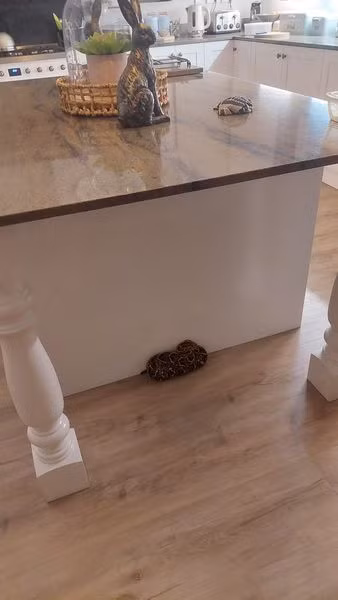 Tuong khan quang bi roi, khiep via nhan ra la 