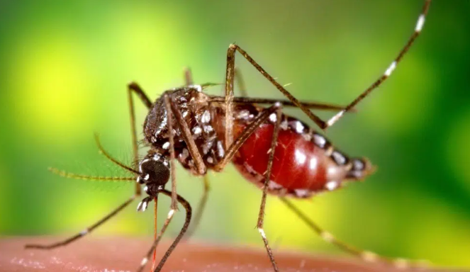 Colombia ban bo tinh trang khan cap do bung phat sot vang da