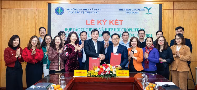 Triển khai quản lý thuốc bảo vệ thực vật bền vững theo chuẩn quốc tế Trien khai quan ly thuoc bao ve thuc vat ben vung theo chuan quoc te