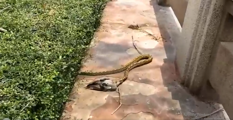 Dang di dao, bat ngo bat gap 