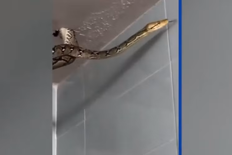 Dang di dao, bat ngo bat gap 