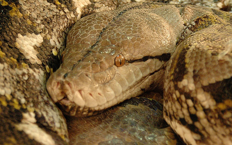 Dang di dao, bat ngo bat gap 