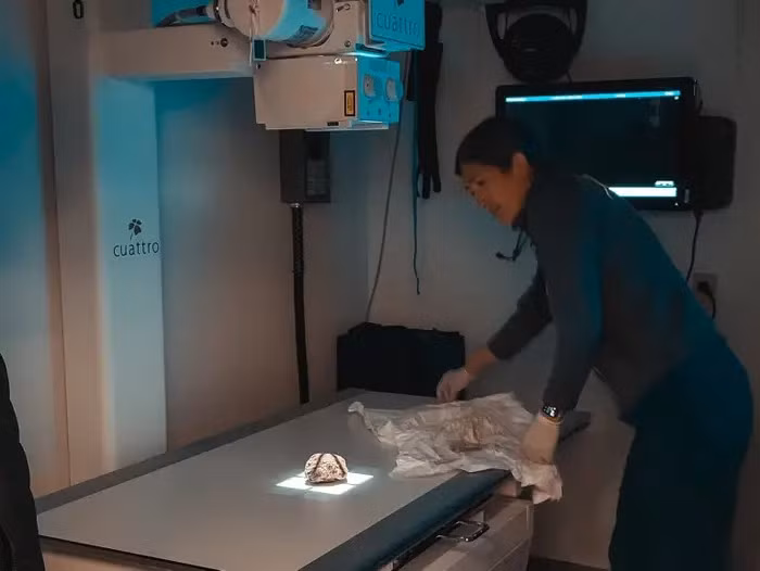 Bat ngo lai lich xac uop quai thu 30.000 nam khong tan ra-Hinh-5