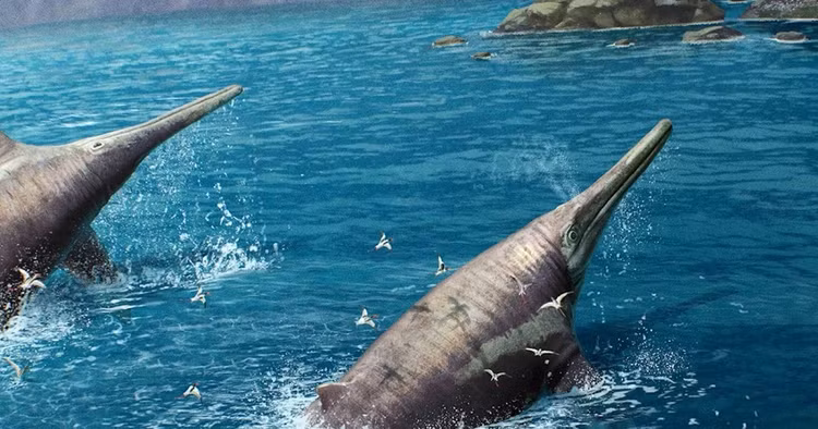 Di dao bai bien, giat minh phat hien 'quai vat' 200 trieu nam tuoi-Hinh-3