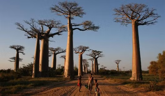 Nhung hon dao doc la nhat Trai dat, so 2 cuc am anh-Hinh-6