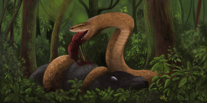 Sieu mang xa 47 trieu tuoi lo dien gay kinh ngac gioi khao co-Hinh-6