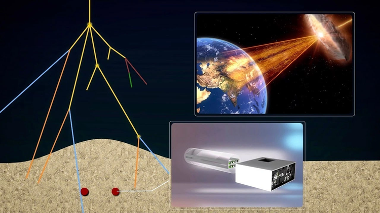 Vi sao mo Tan Thuy Hoang bi “phong an”, nha khoa hoc khong dam mo?-Hinh-3